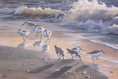 SunsetSanderlings.jpg